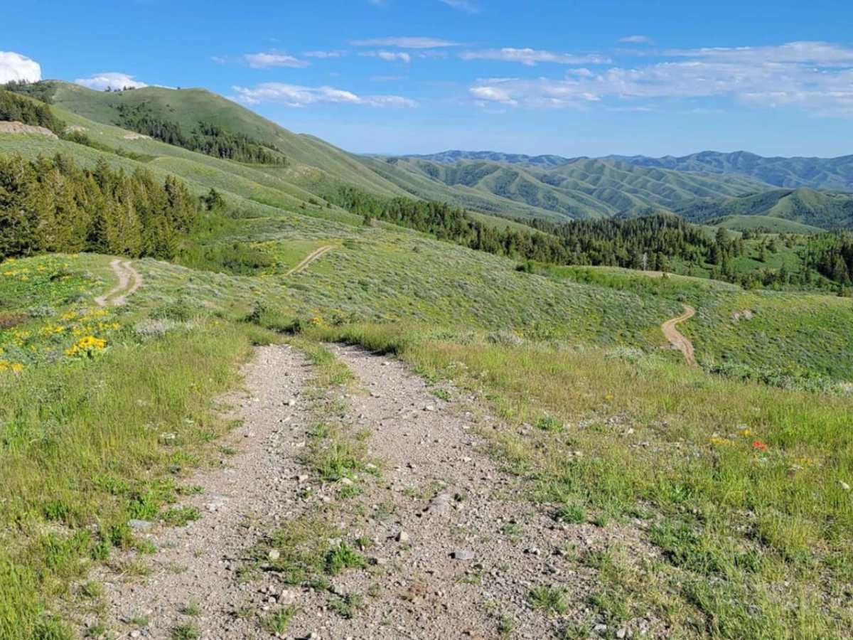 Line Canyon trail photo