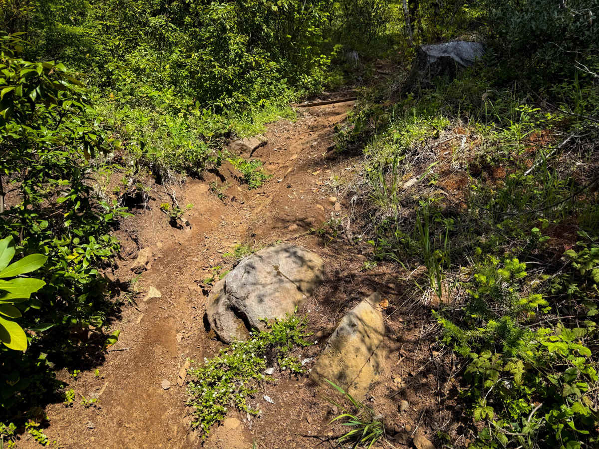 109 photo 2