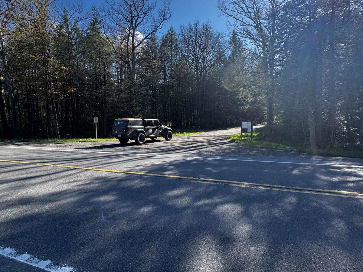 Firebreak Road photo 2