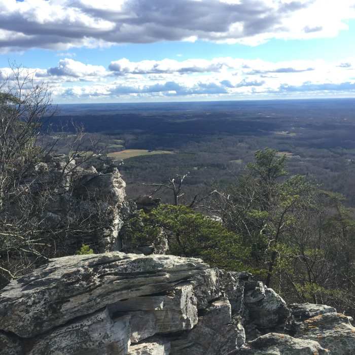 Near Wolf Rock Trail