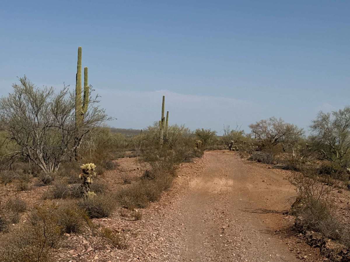 BLM 38064 photo 2