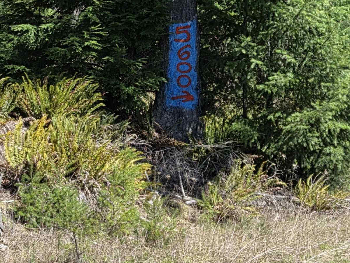5600 trail photo