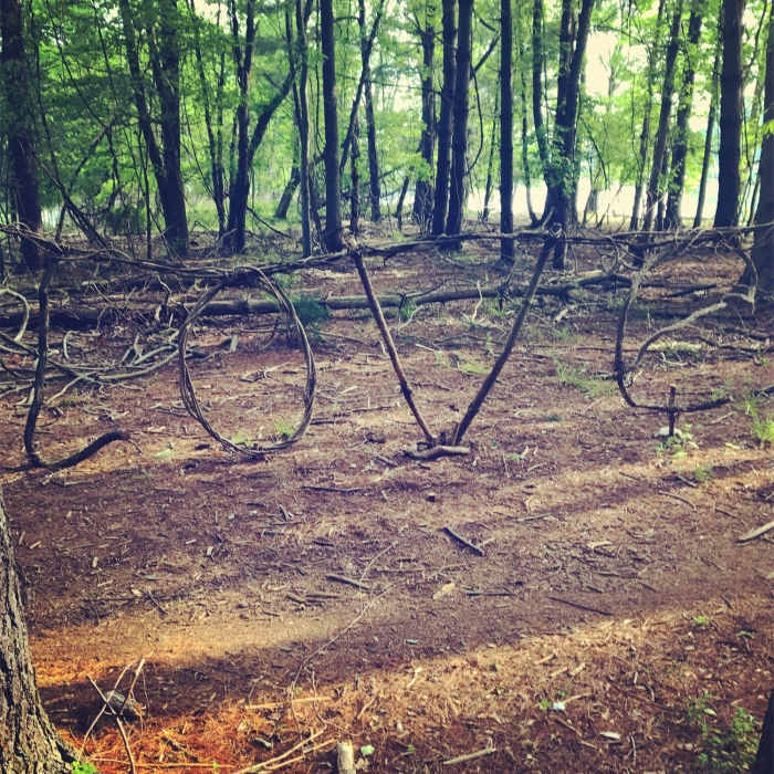 Near Loch Raven Seminary Scenic Loop