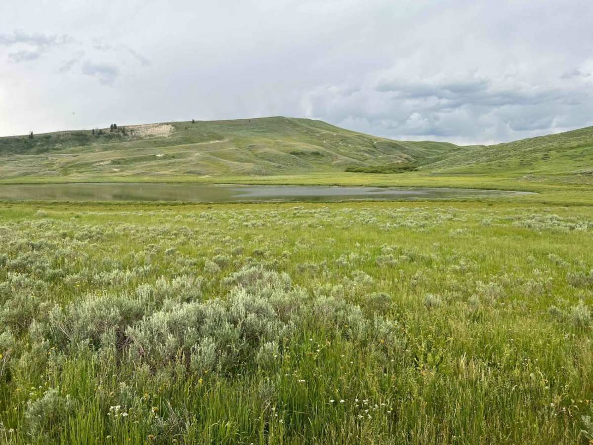 Fish Creek Lake Road (Partial) photo 3