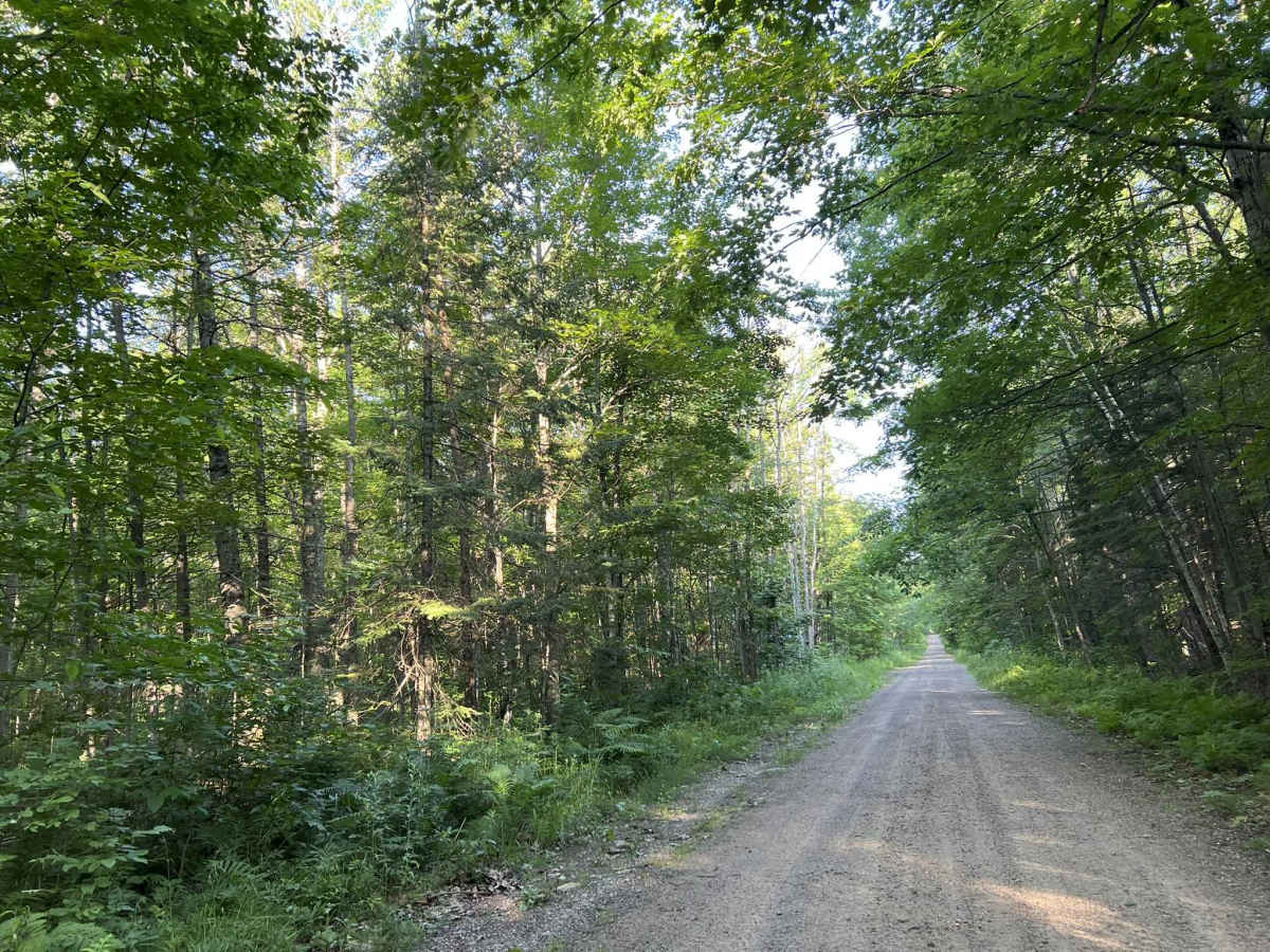 Bug Lake Road photo 2