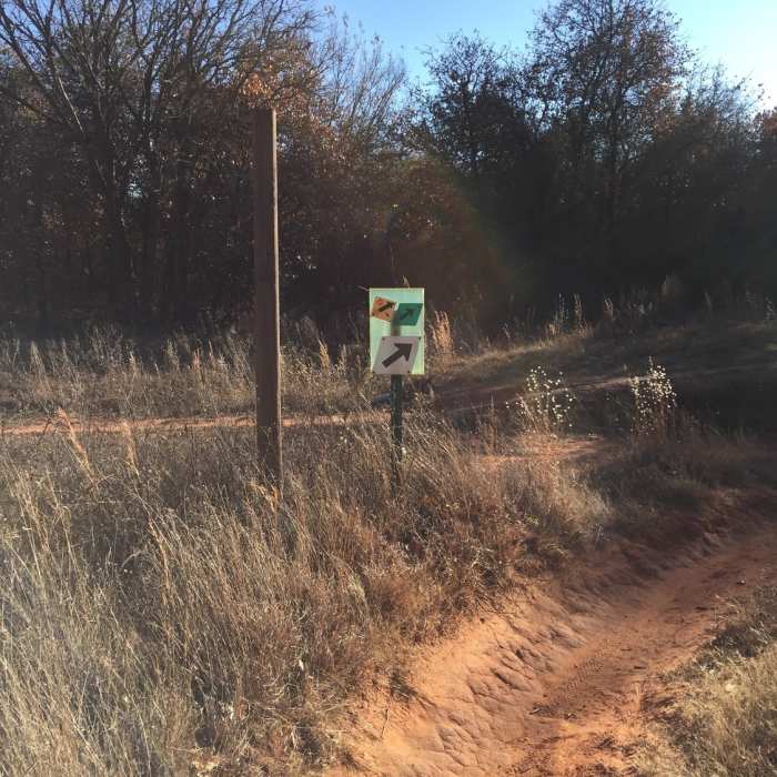 Near Orange Loop
