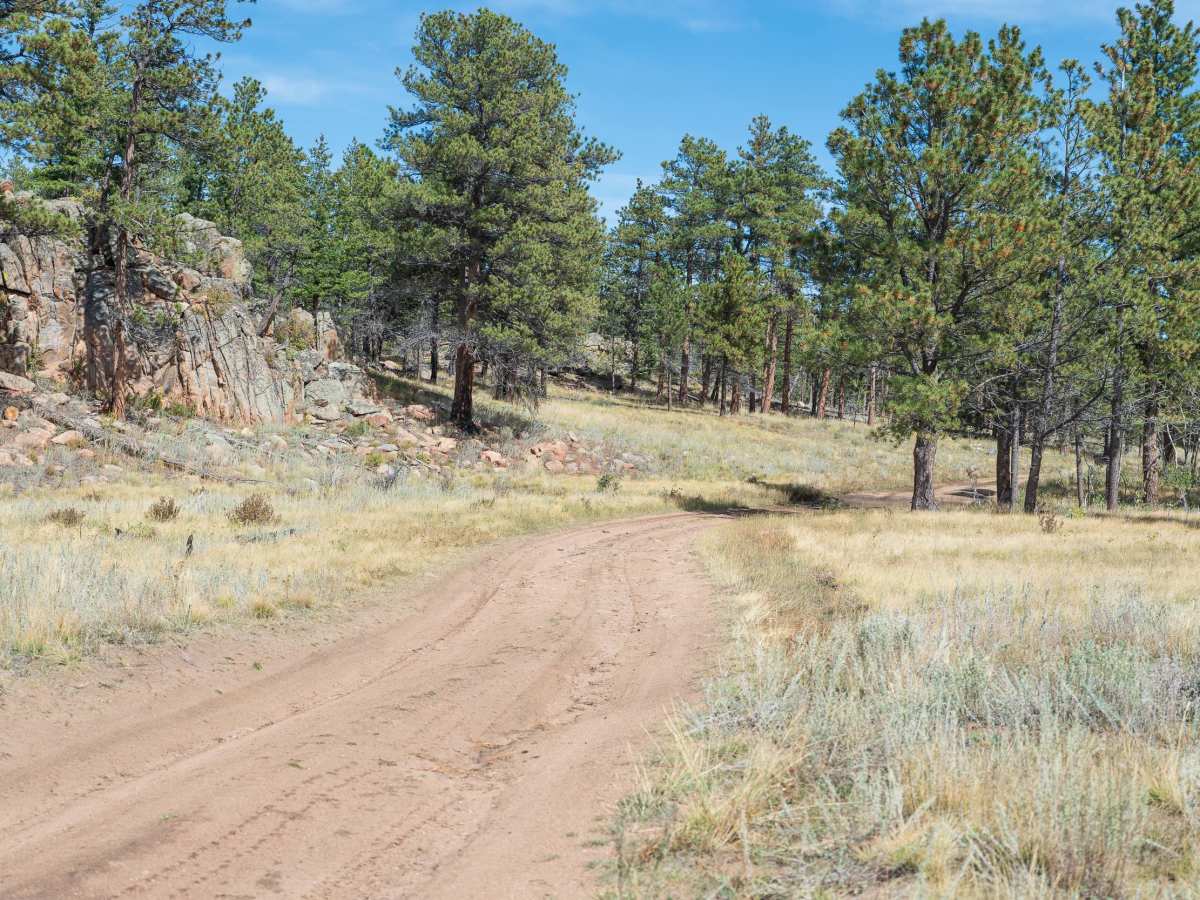 Forest Service Road 181A photo 4