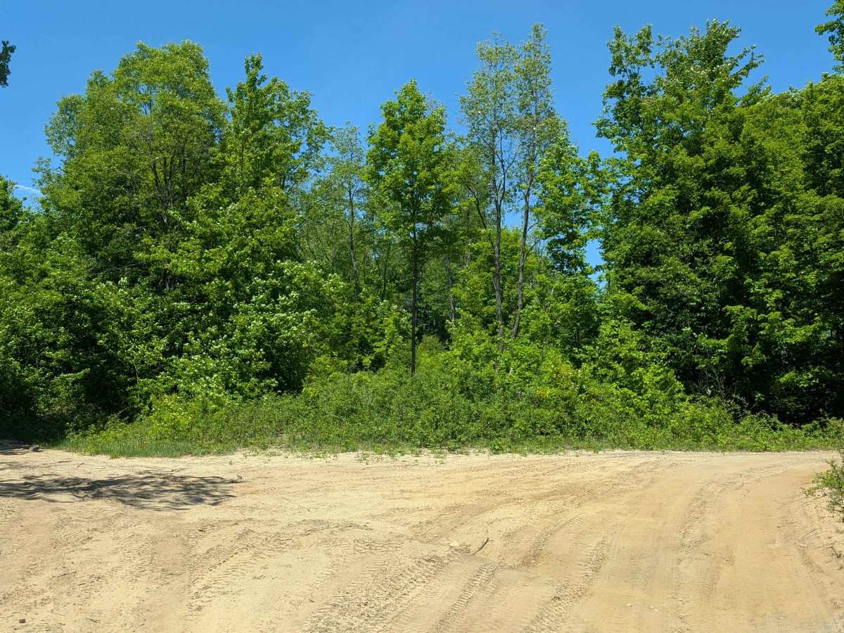 Phelps Road photo 4