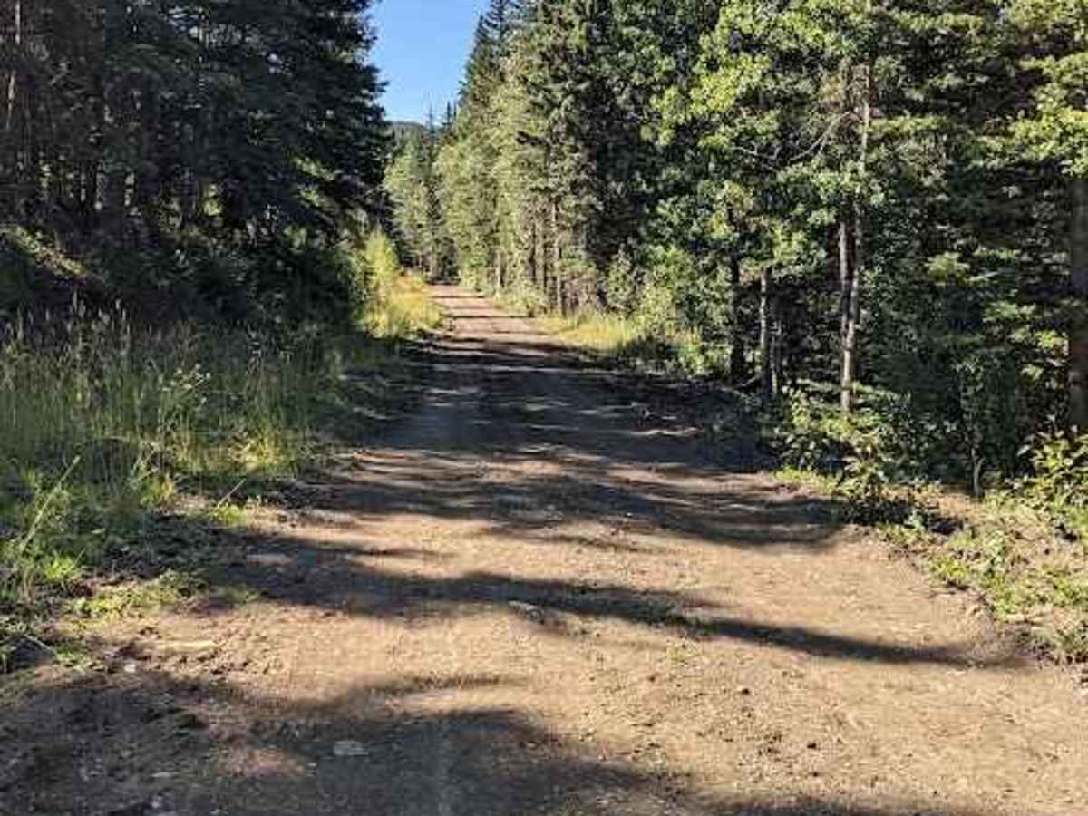 Lyndon Creek Road - Shared Section photo 3