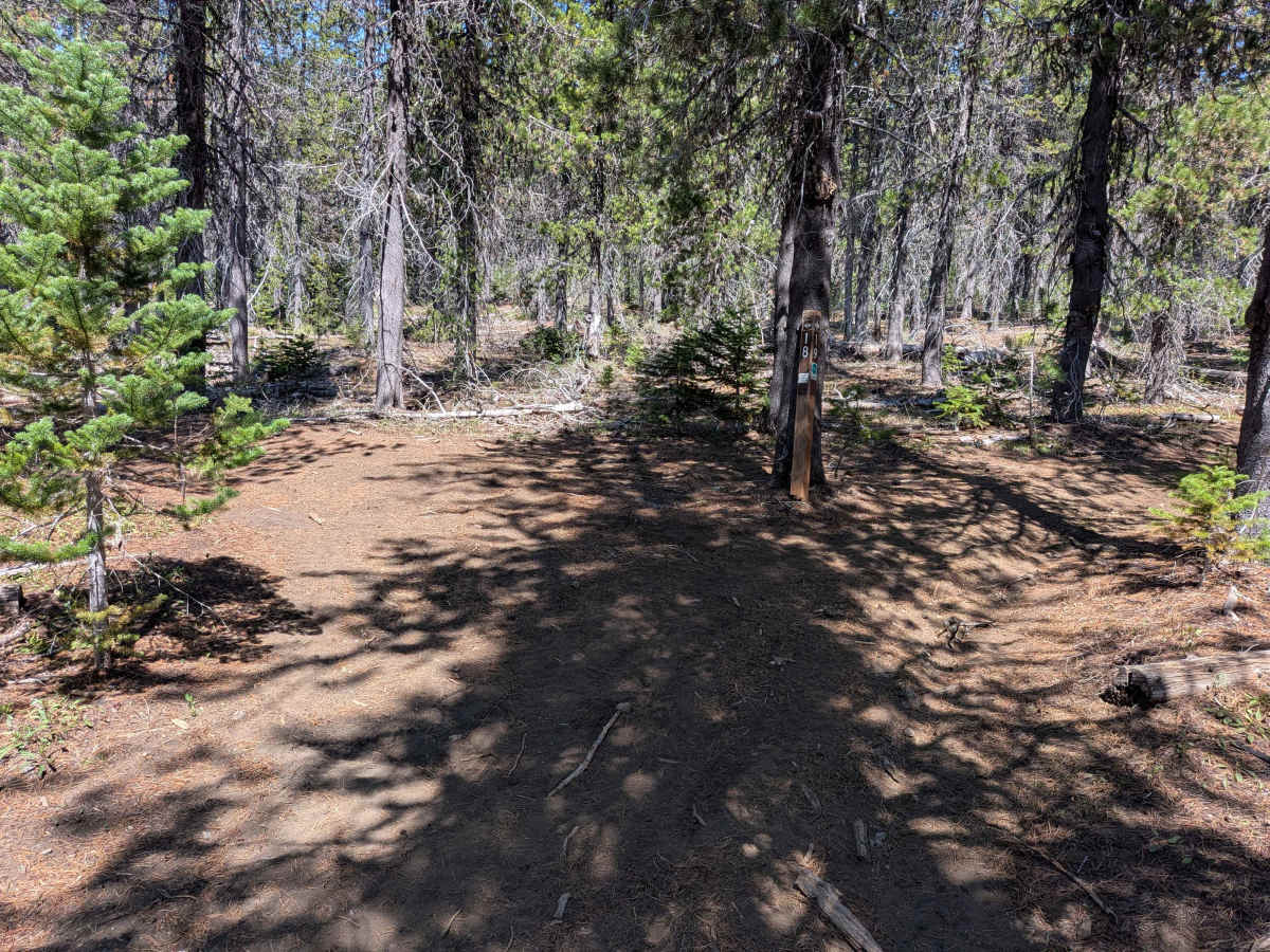 Santiam OHV 18 photo 5