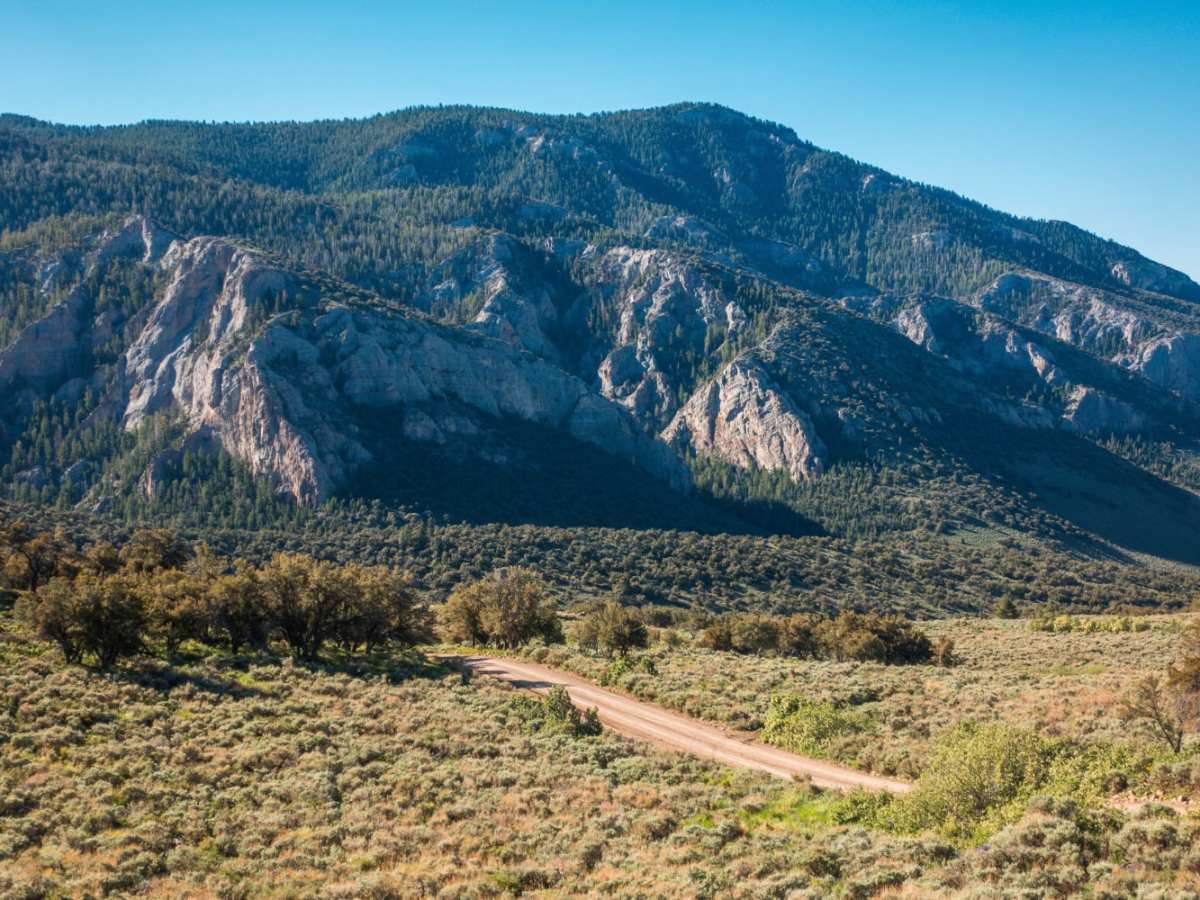 Success Loop trail photo