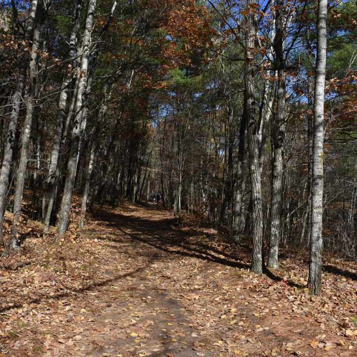 Near Hiking Club Trail Near Hiking Club Trail