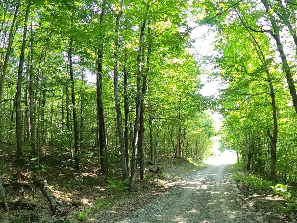 Donnerville Road photo 6