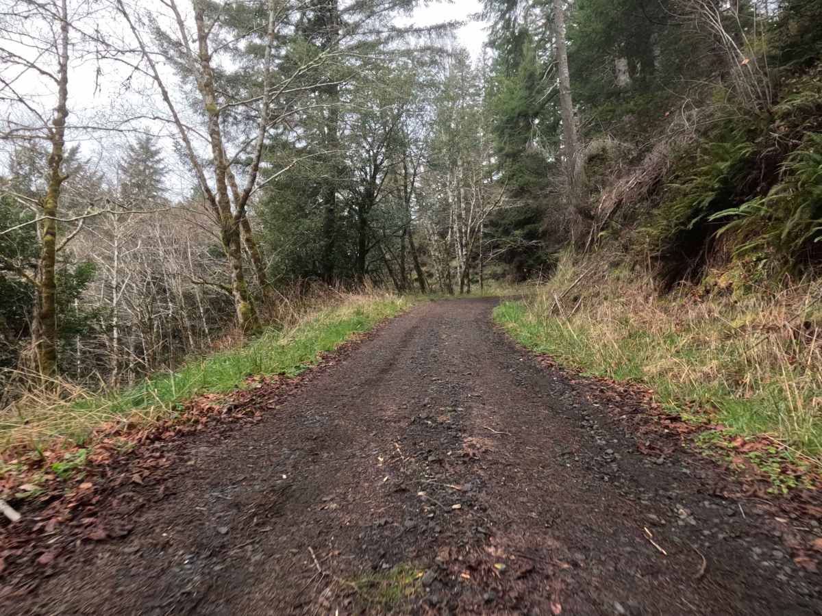 Tenmile Butte Road - 3500 photo 3