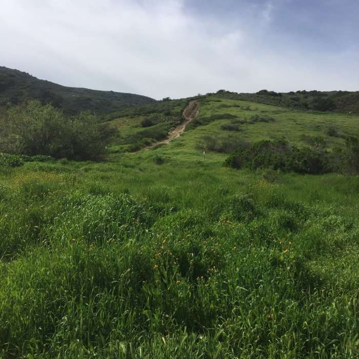 Near Aliso Creek Park Loop
