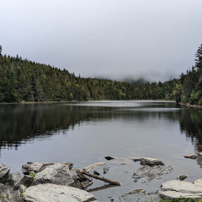 Near Sterling Pond Trail
