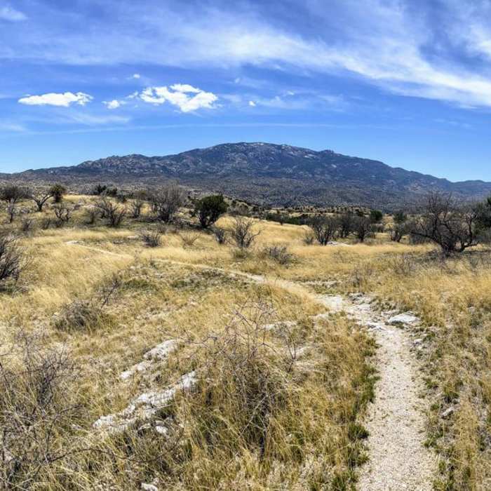 Near Arizona Trail Passage 10: Redington Pass