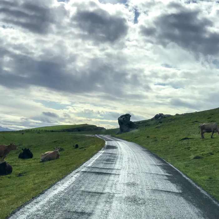 Near Chimney Rock, Elephant Seal Overlook & Lifeboat Station