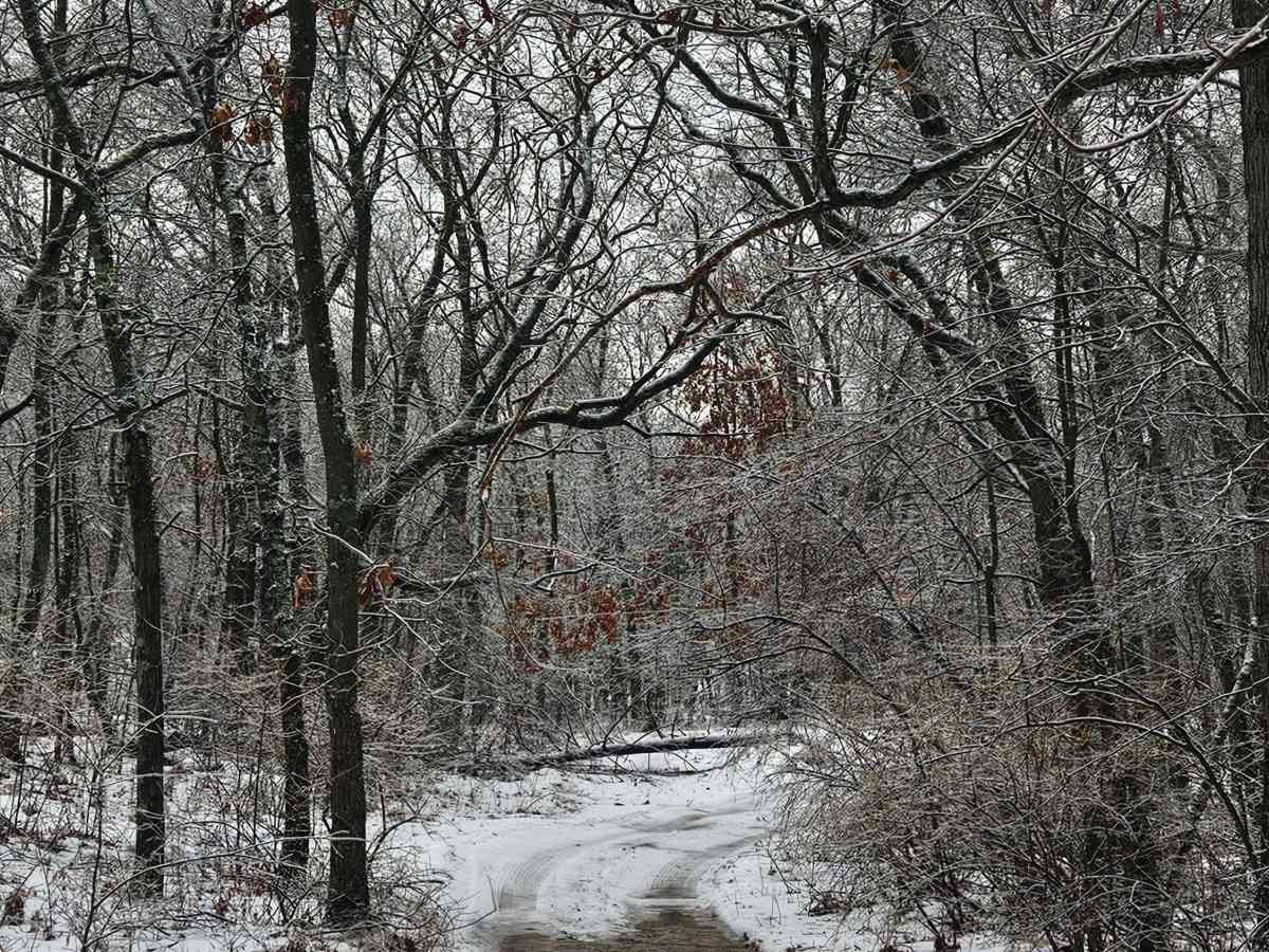 Old Sand Road photo 5