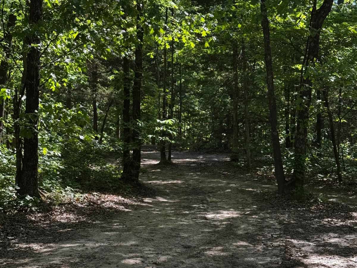 Inner Track 27.2 photo 3