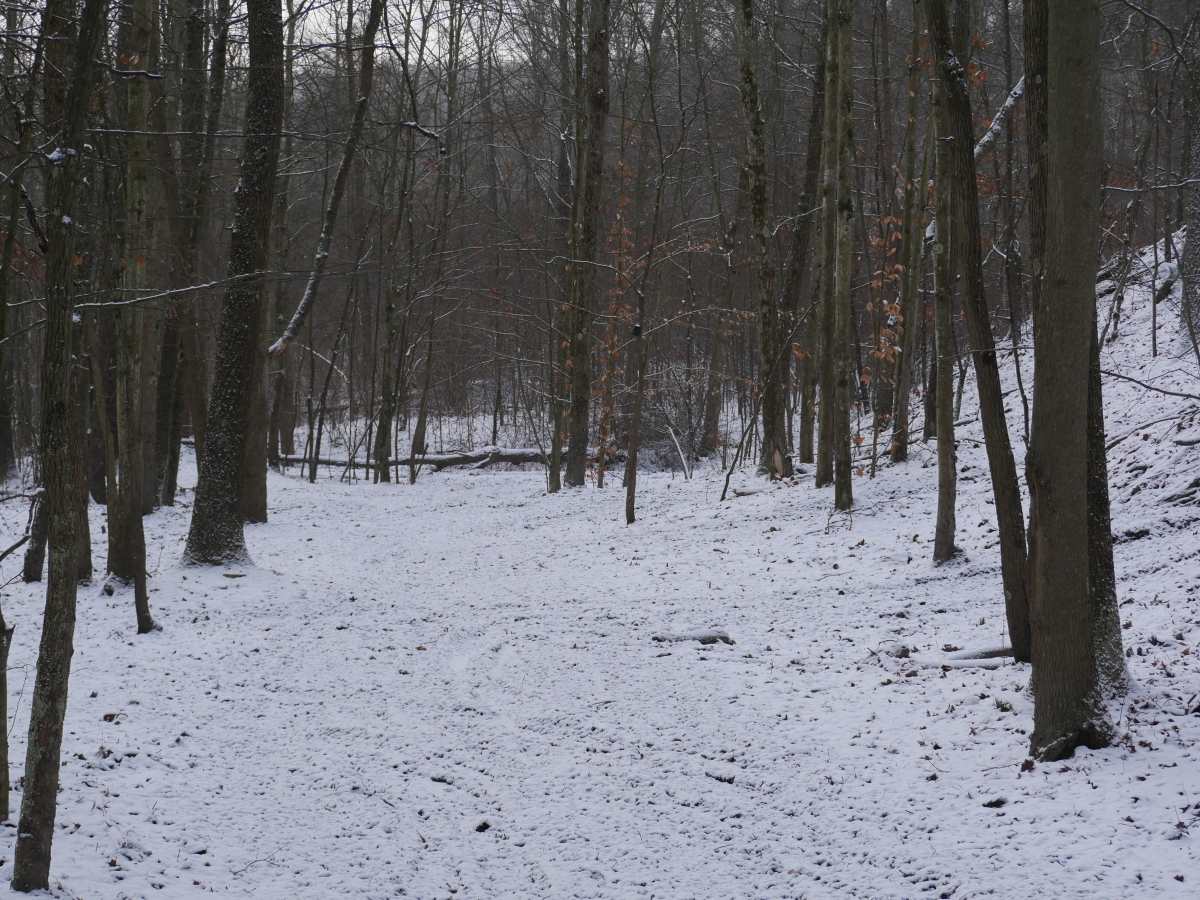 Trail 37 photo 3
