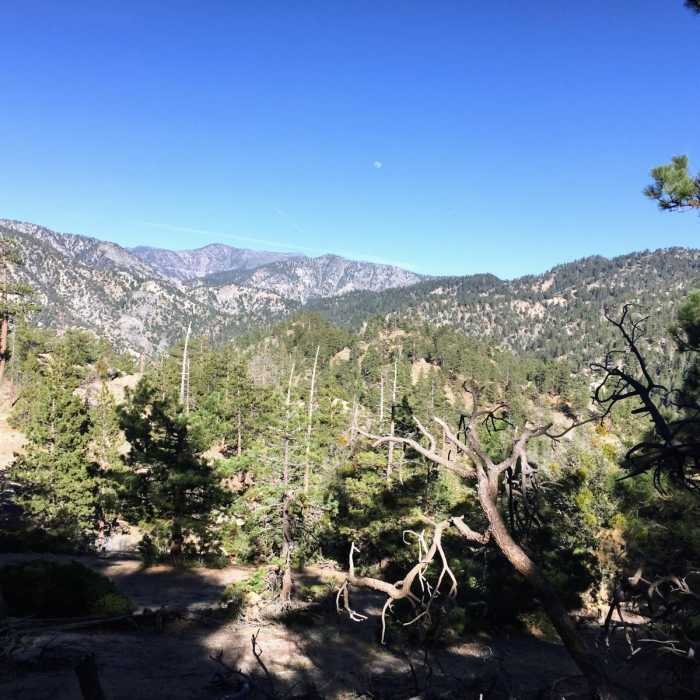 Near Three Points to Winston Peak