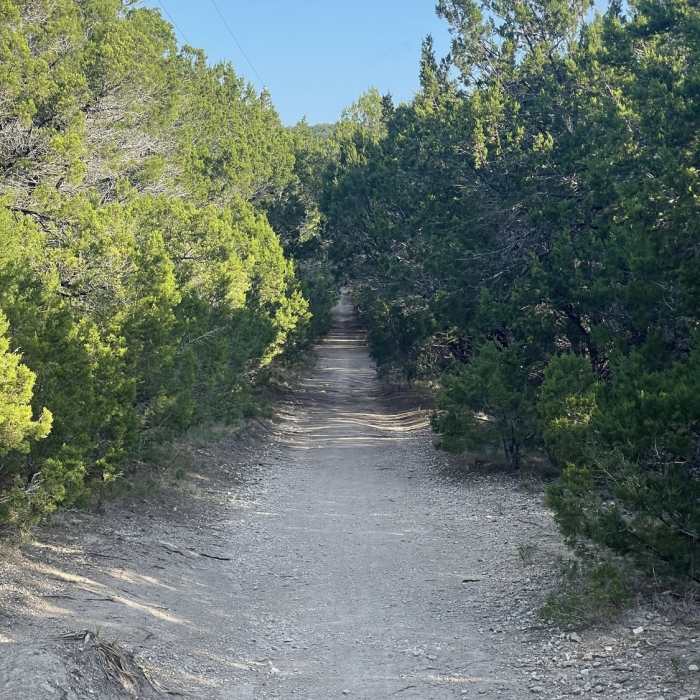 Near Fire Lane Trail