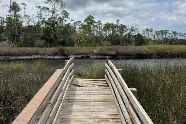 Salt Creek Road