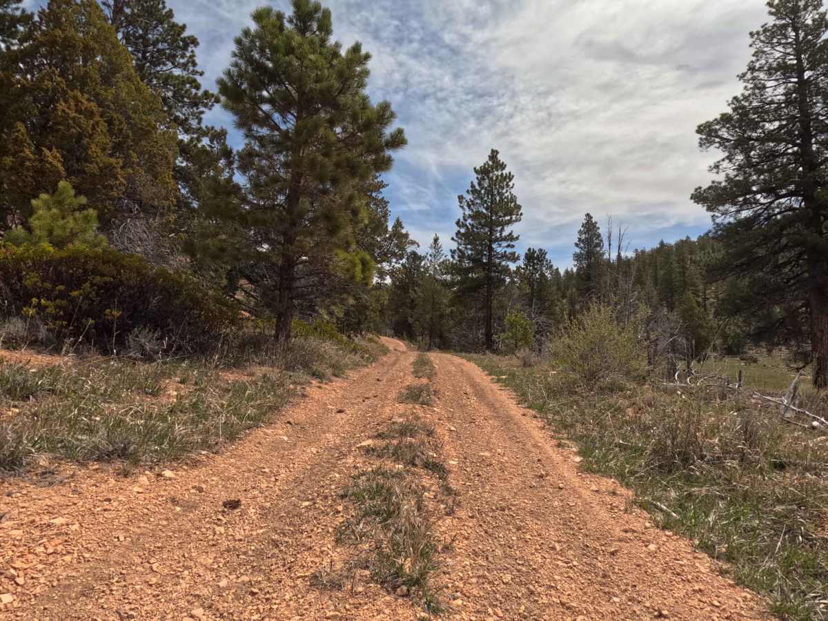 Ingram Hollow - FS 31129 photo 3