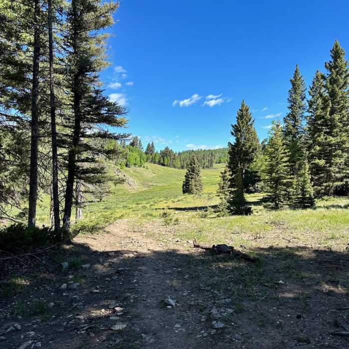 Near Continental Divide Trail: New Mexico Section 30