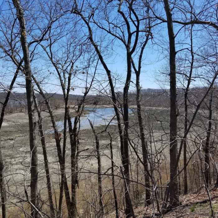 Looking down at the Reversing Falls Marsh Near Great Esker Trail