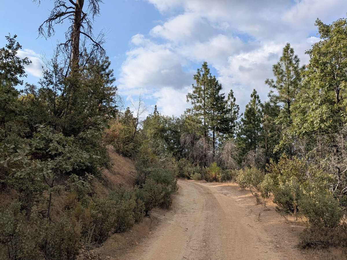 Buffalo Gulch - FS 4S11 photo 5
