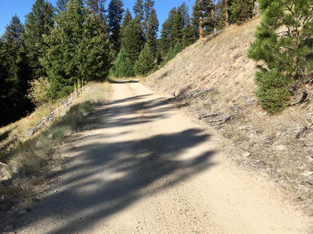 Reynolds Ridge Road - FS 5770 photo 3
