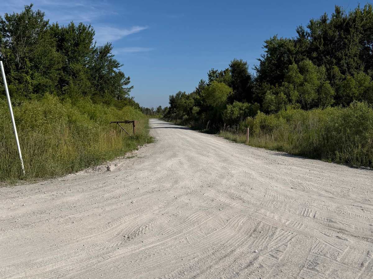 Catfish Lake Farm - FS 158 trail photo