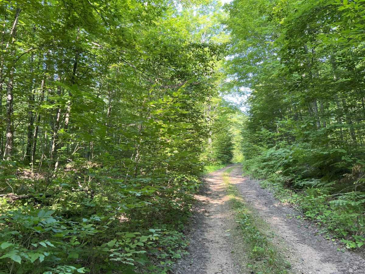 Camp Hayes Road photo 3