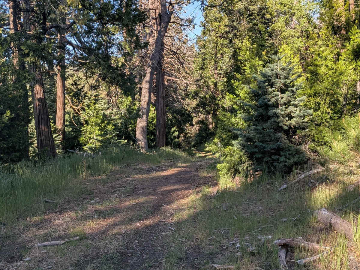 Greenhorn Mountain West - FS 26S01 photo 3