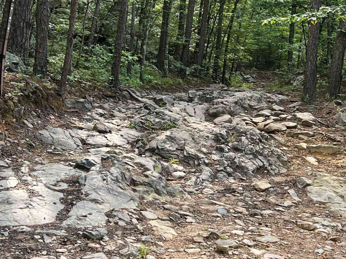 Fourche Mountain Outer Loop photo 5