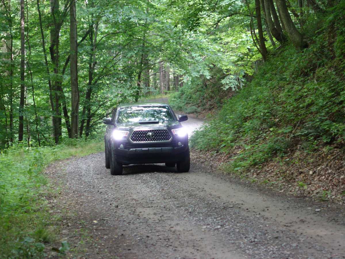 Old Buzzard Roost Road trail photo