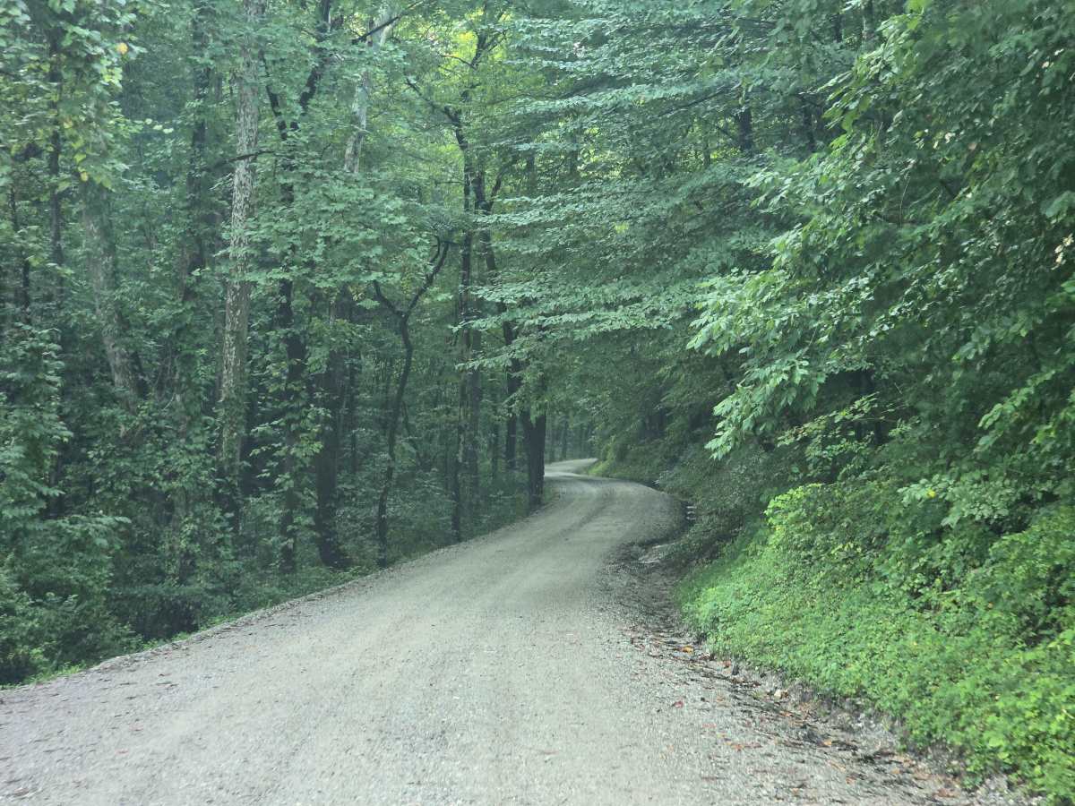 Lower Creek Road photo 5