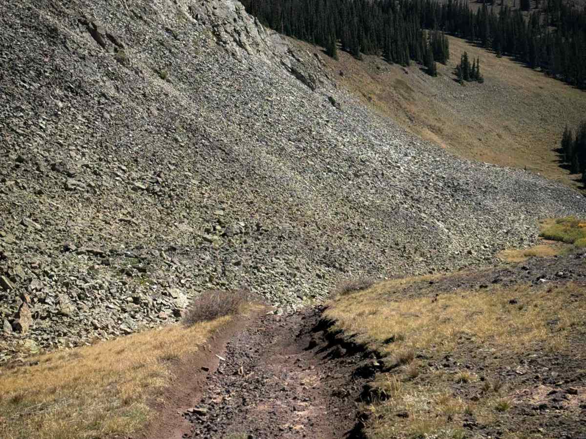 Willow Creek Trail - FS 479  photo 5