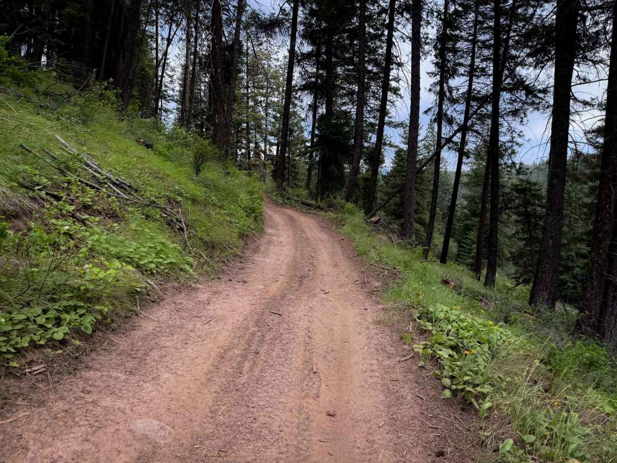 Training Day - Trail 410  photo 6