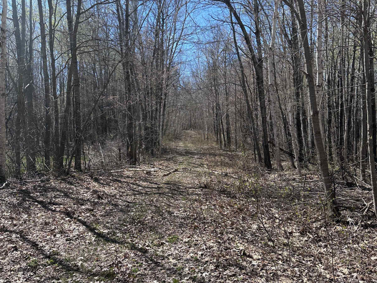 Hunter's Spur photo 4