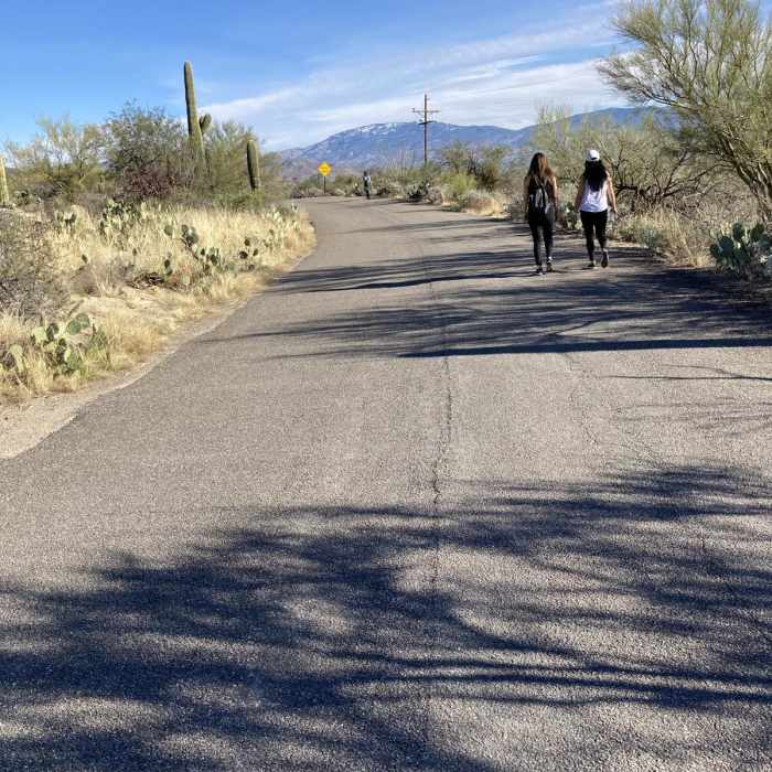Near Blackett's Ridge