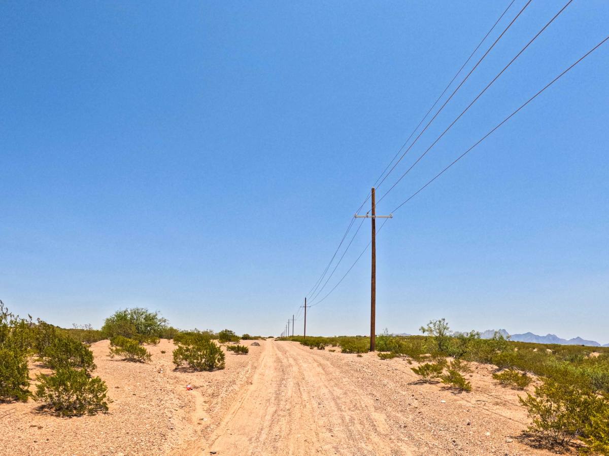 Check Court Entrance trail photo