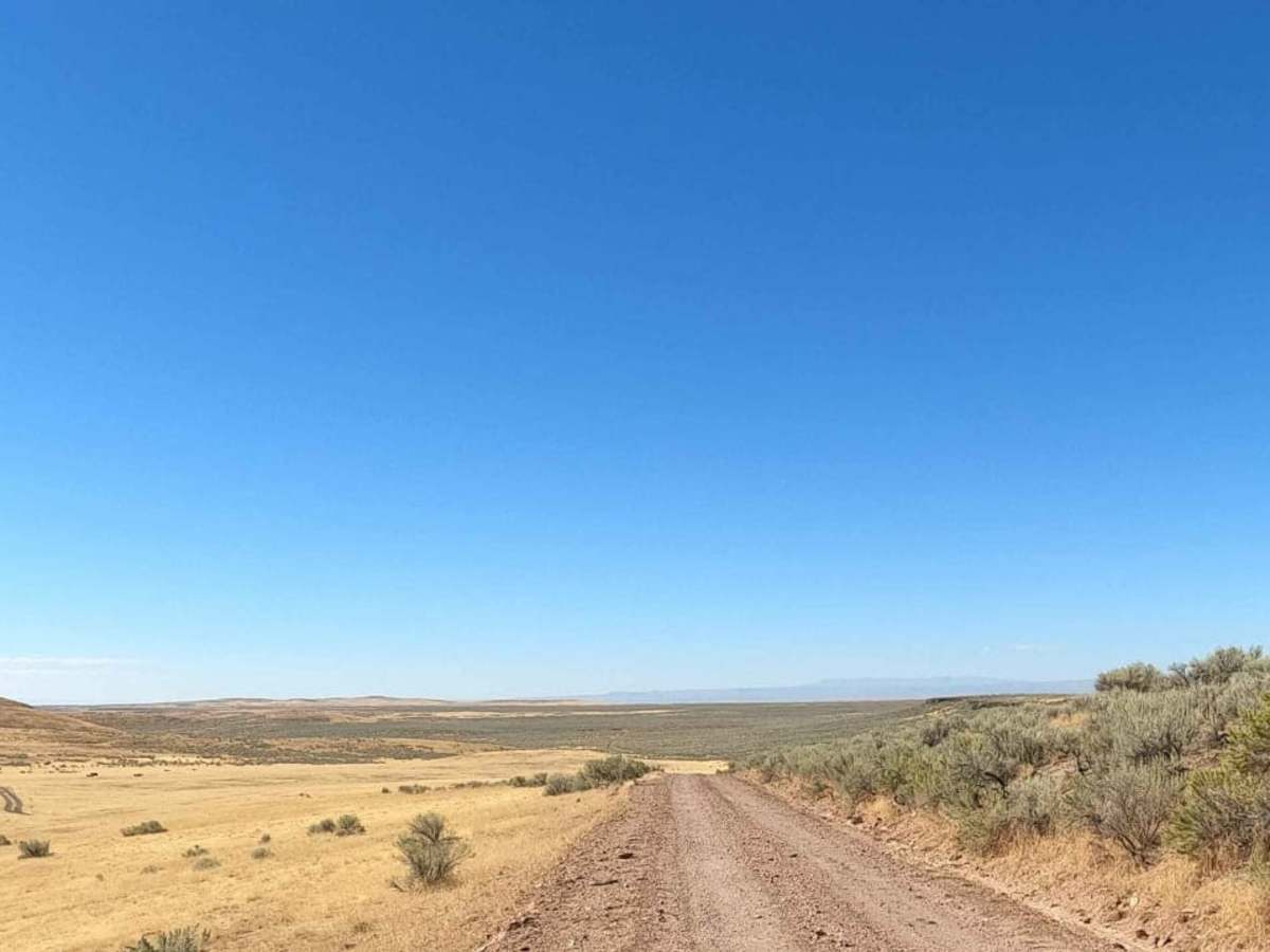 Blowout Reservoir Road photo 5