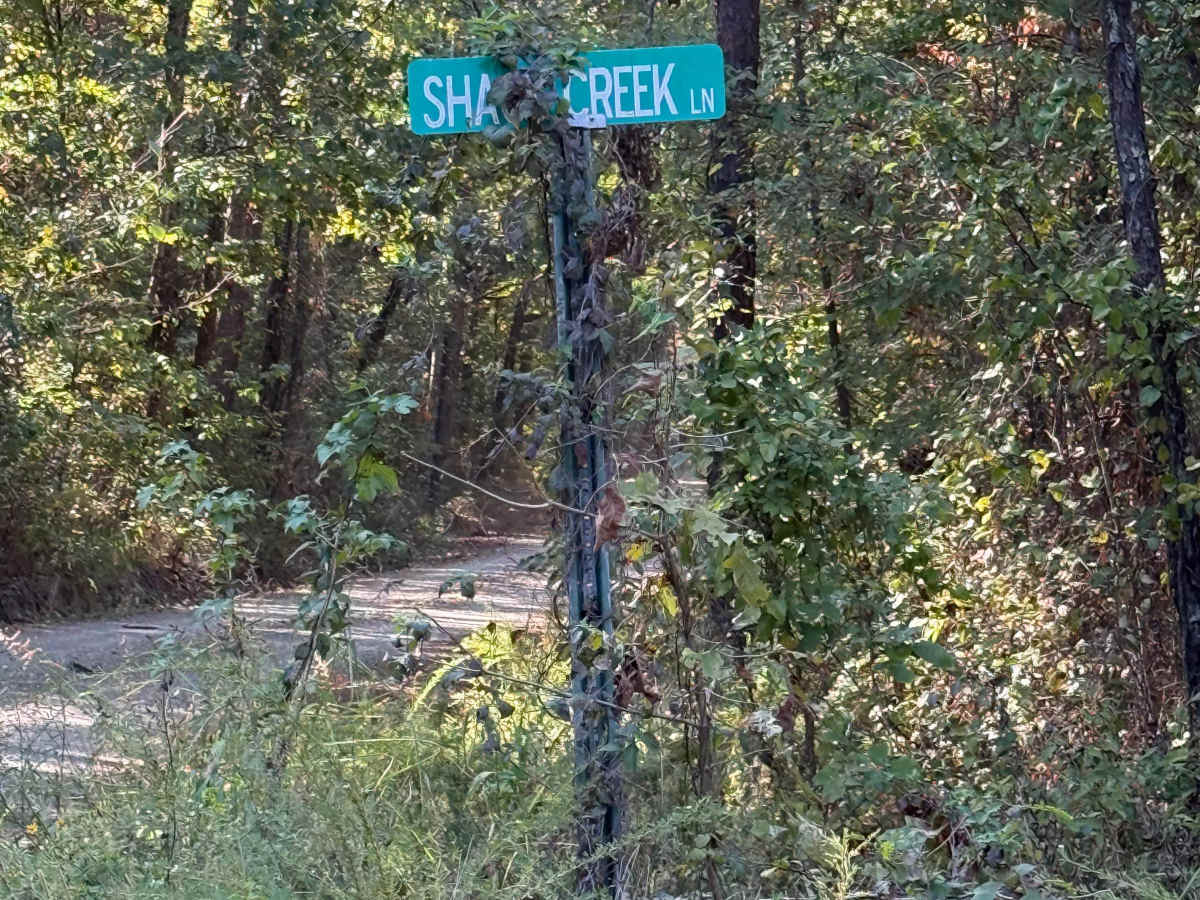 Shack Creek trail photo