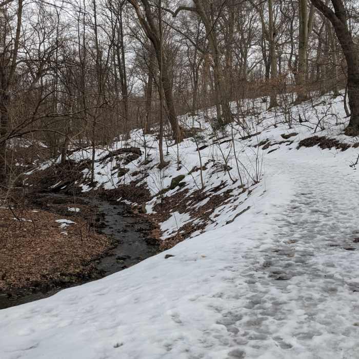 Near Boxer's Trail
