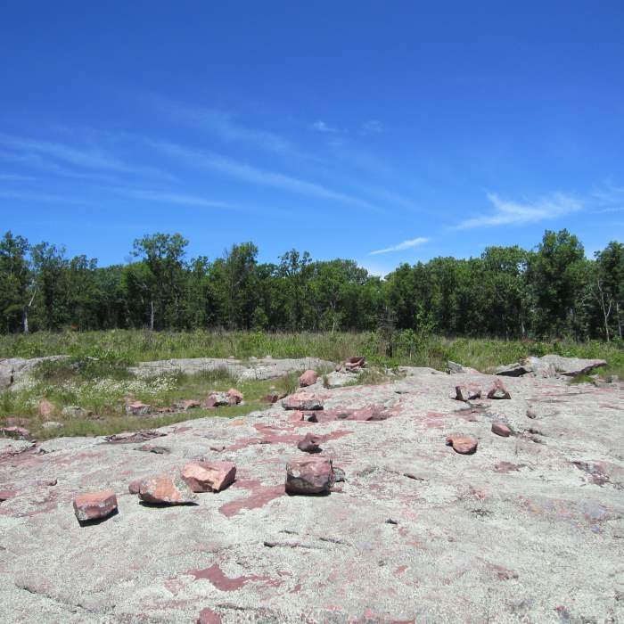Glade. Near Stegall Mountain Fire Tower
