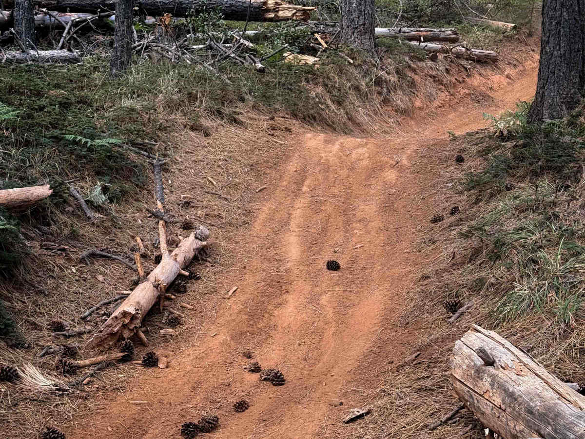 Loop 7 trail photo