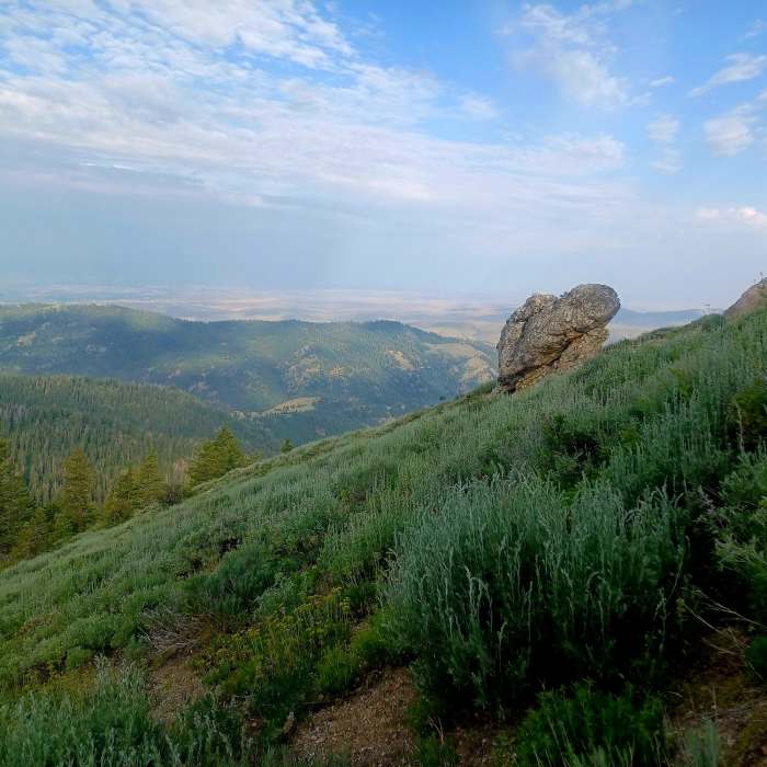 Near Mores Mountain Trail